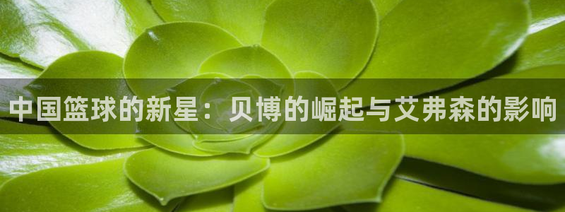 先锋娱乐体育f开号：中国篮球的新星：贝博的崛起与艾弗森的影响