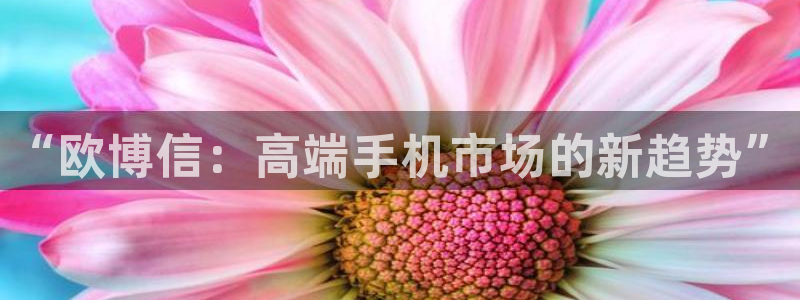 先锋娱乐体育官网入口登录：“欧博信：高端手机市场的新趋势”